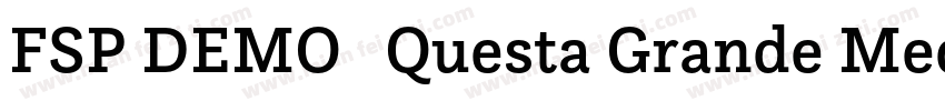 FSP DEMO   Questa Grande Medium Reg字体转换